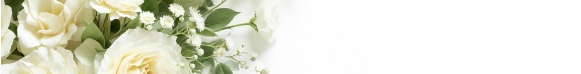 Bouquets de fleurs blanches