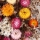 Comment faire un bouquet de fleurs séchées ?