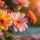 Quelles fleurs acheter en février : guide complet