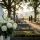 Quand donner des fleurs pour un enterrement ?