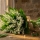 Combien de brins de muguet dans un bouquet : guide complet