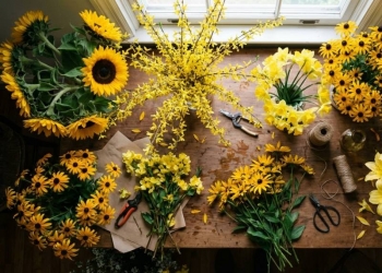 Quelles sont les 5 plus belles fleurs jaunes ?